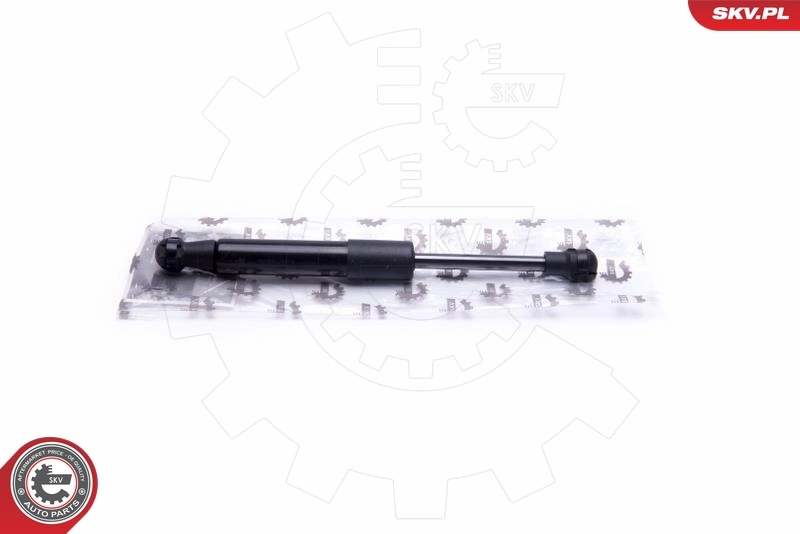 Gas Spring, boot/cargo area
